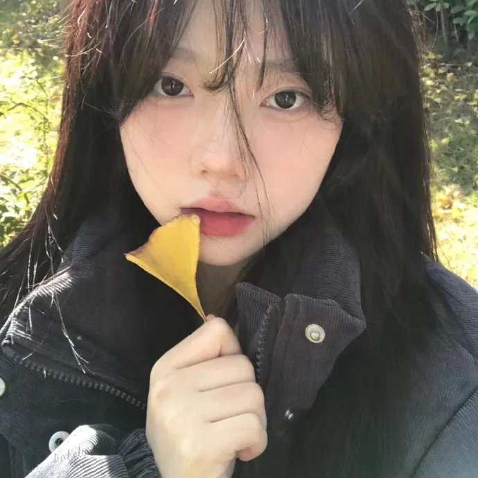 与凤行